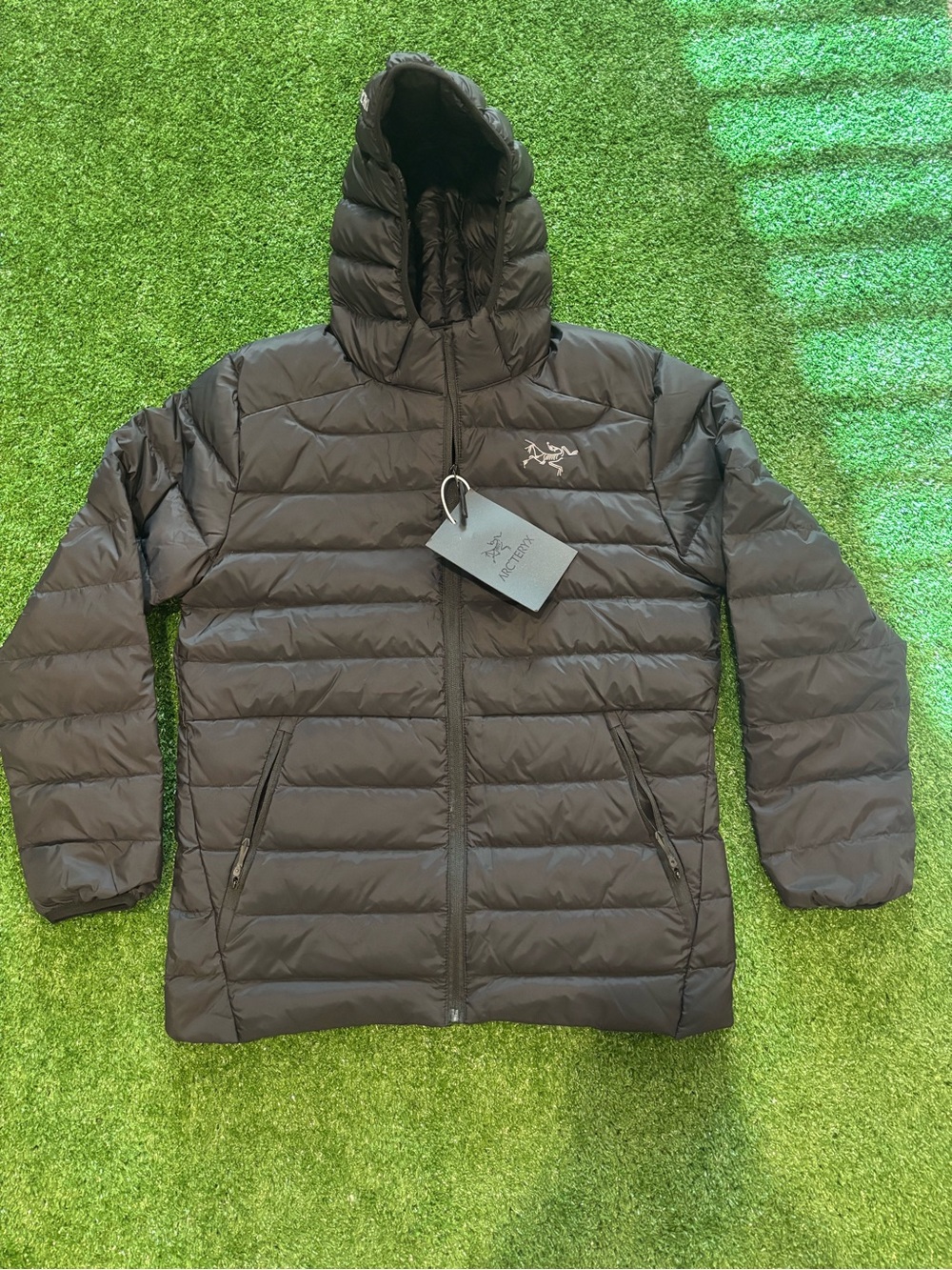 Arc'teryx Black Hooded Puffer Jacket